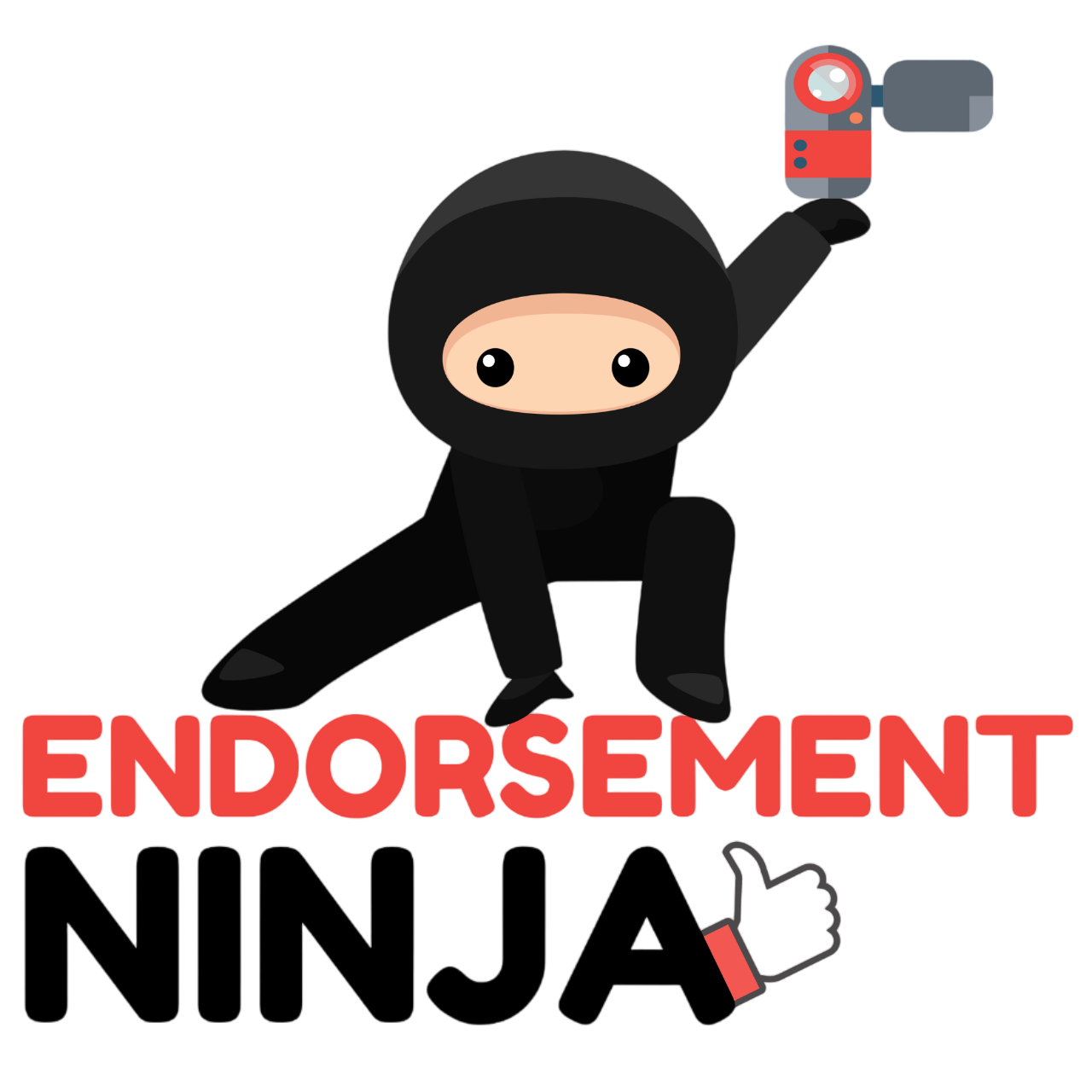 Endorsement Ninja by Expert Content Pros